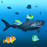 Аdobe Flash CS5/CS4. Уровень 4. Трёхмерная анимация в PaperVision 3D