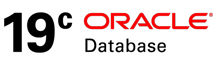 Oracle11g: Основы PL/SQL