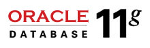 Oracle Database 11g: Настройка производительности БД