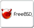"Администратор сетей FreeBSD" (комплексная программа)