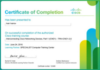 Международный сертификат Cisco