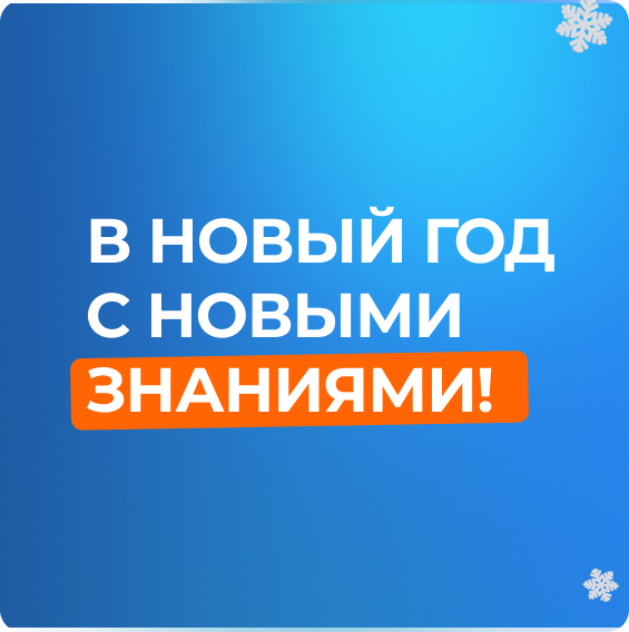 Скидка 26% к новому году!